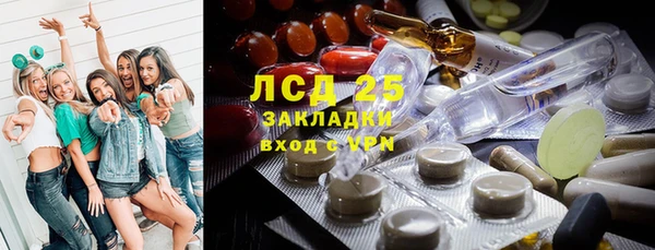 ECSTASY Белокуриха