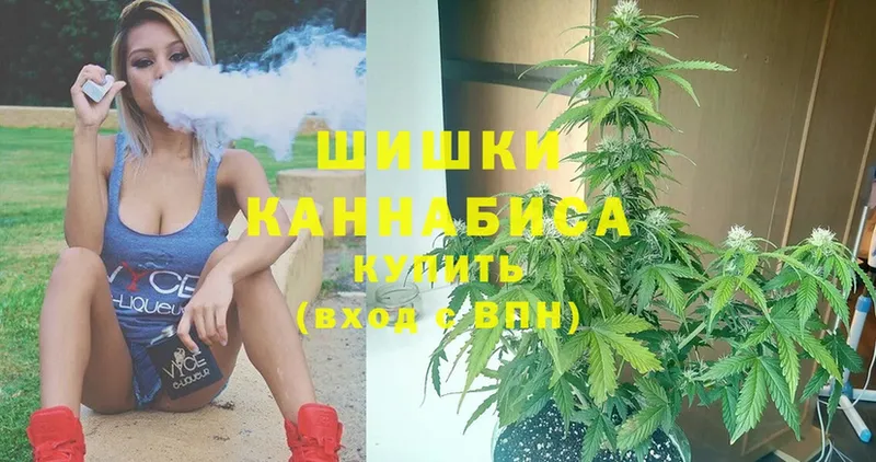 купить наркотики цена  Мосальск  МАРИХУАНА OG Kush 